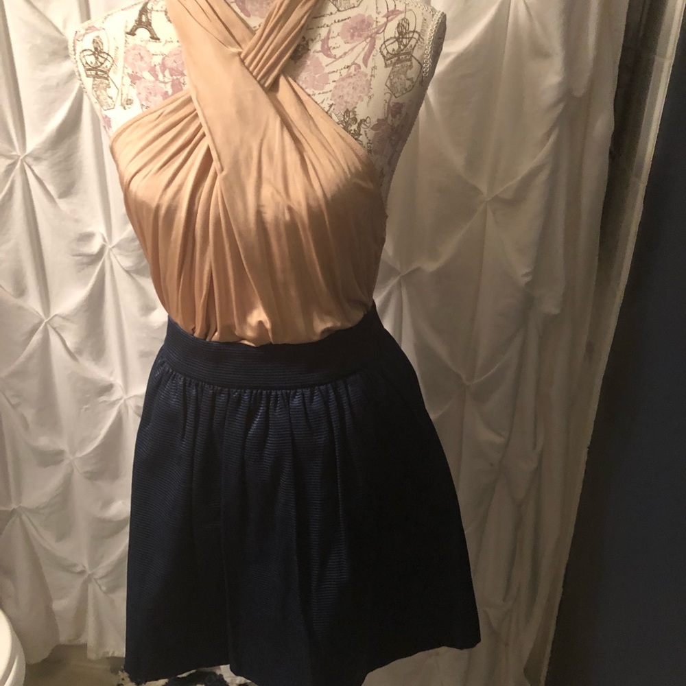 Blue Banana Republic Skirt